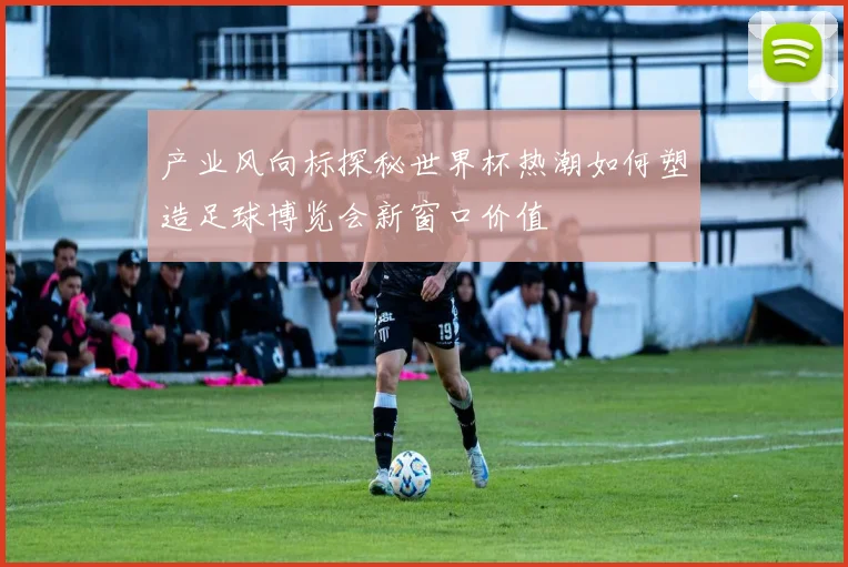 产业风向标探秘世界杯热潮如何塑造足球博览会新窗口价值