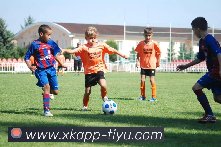 宁忠岩张楚桐担任米兰冬奥中国队旗手 开幕式备受期待